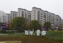 &#20048;&#40060;